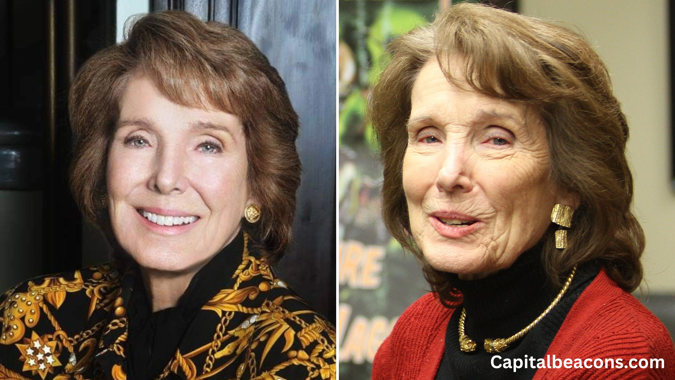 julie adams net worth